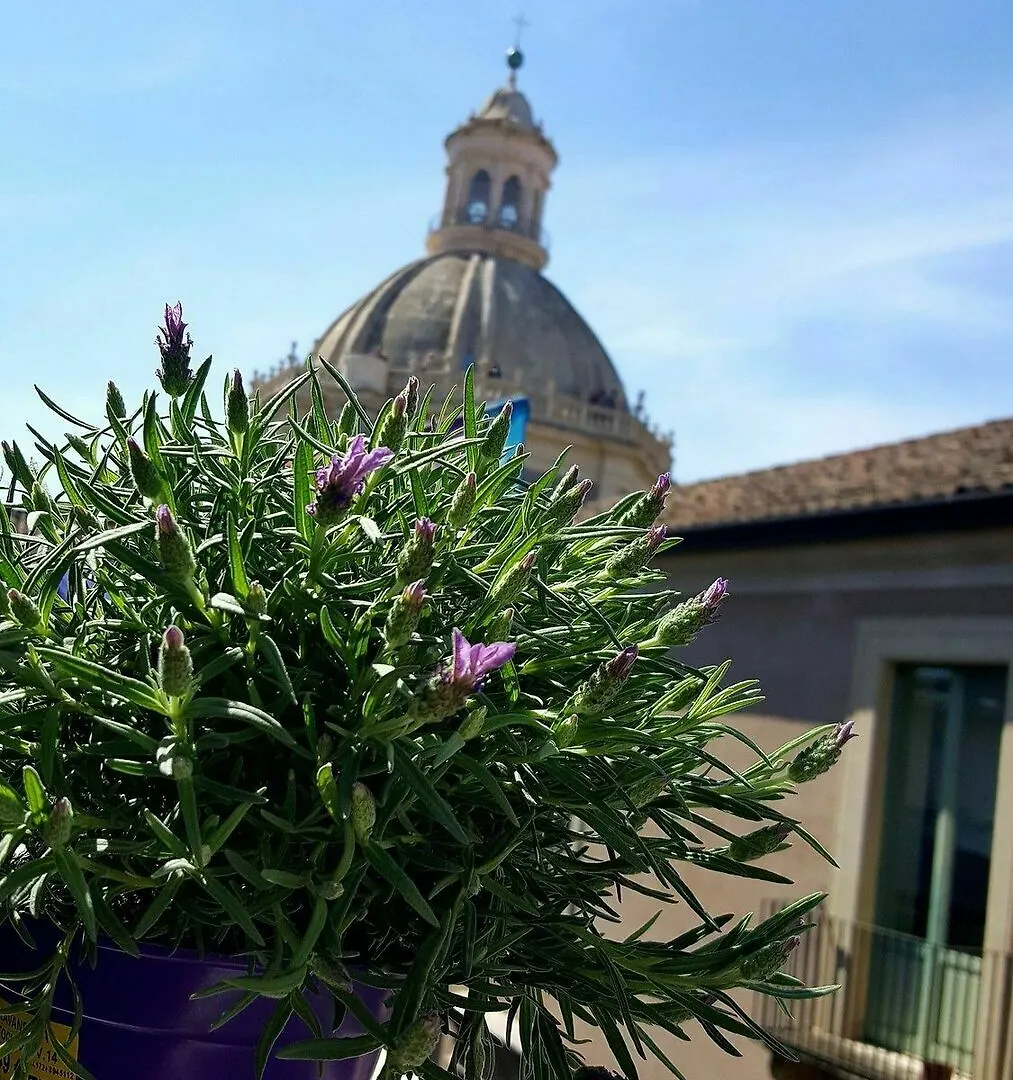 Pensión Hotel Casa Provenza Catania